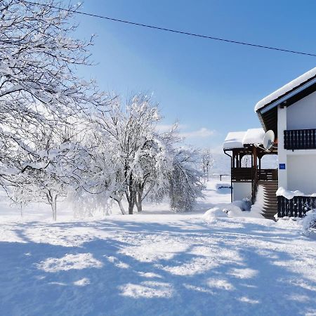 Apartment Lipa Irinovac Екстериор снимка