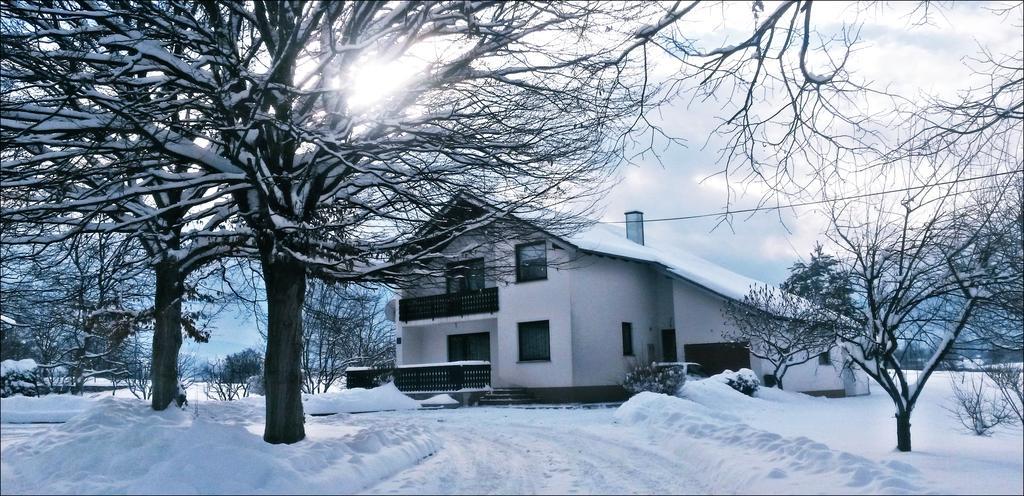 Apartment Lipa Irinovac Стая снимка