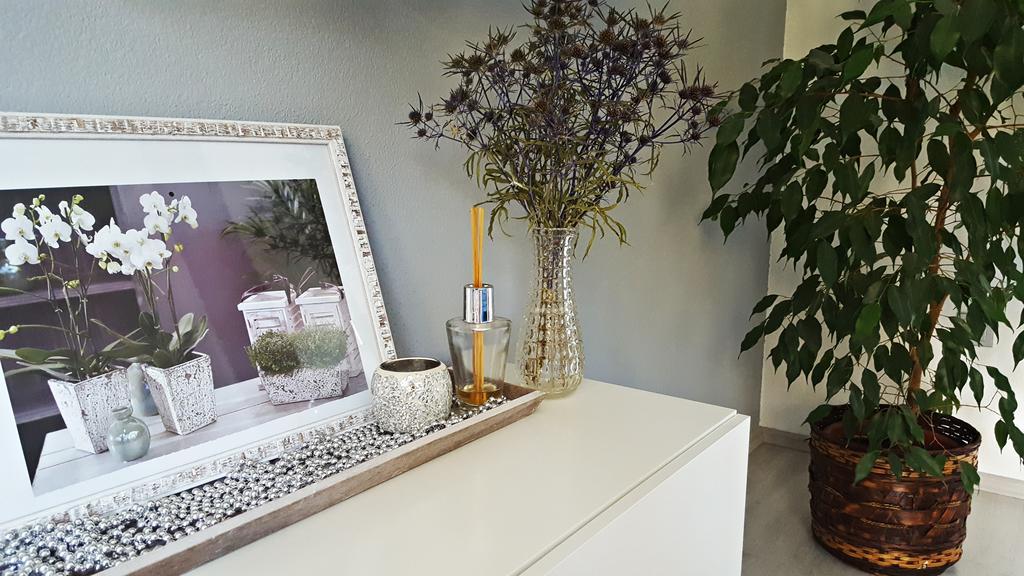 Apartment Lipa Irinovac Екстериор снимка